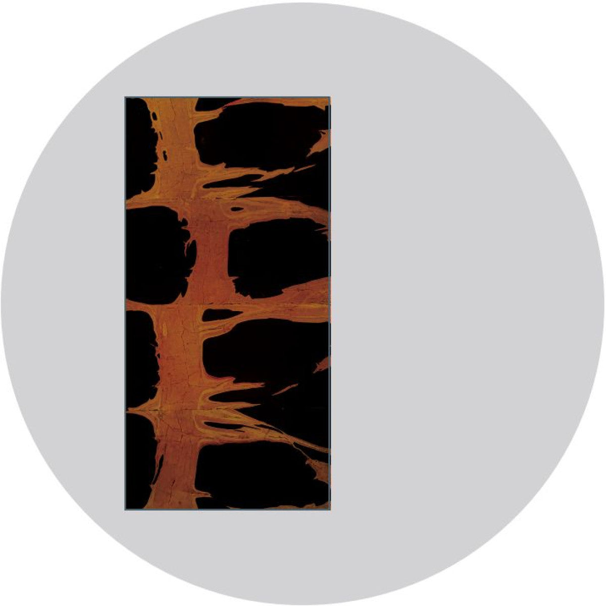 The Setting Of The Sunrise EP