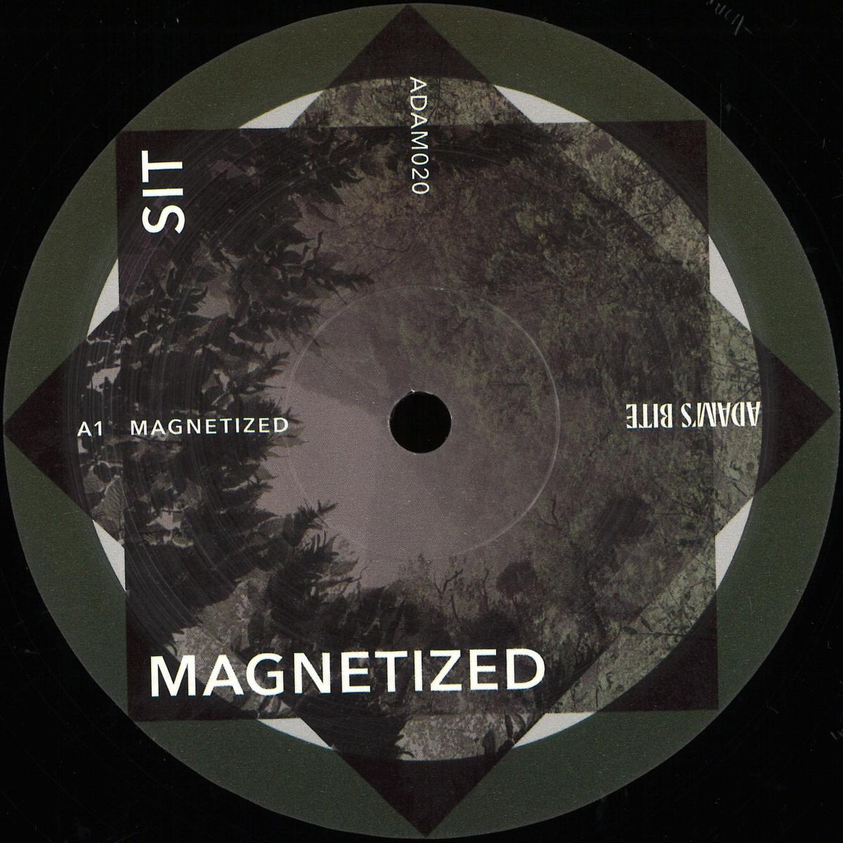 Magnetized