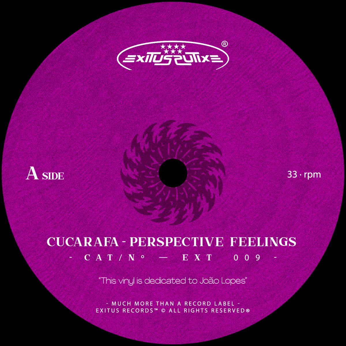 Perspective Feelings EP