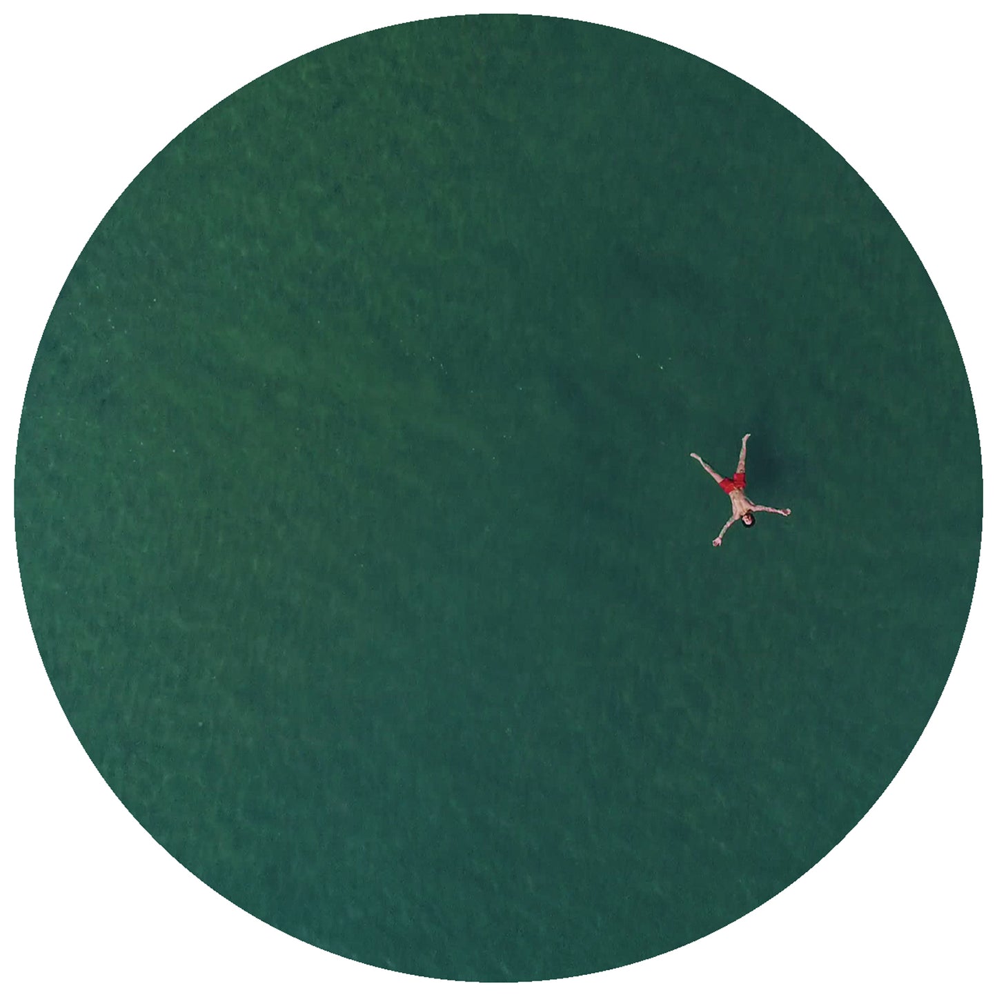 Cola Beach/Dolphin Splash Keyboards (2026 repress)
