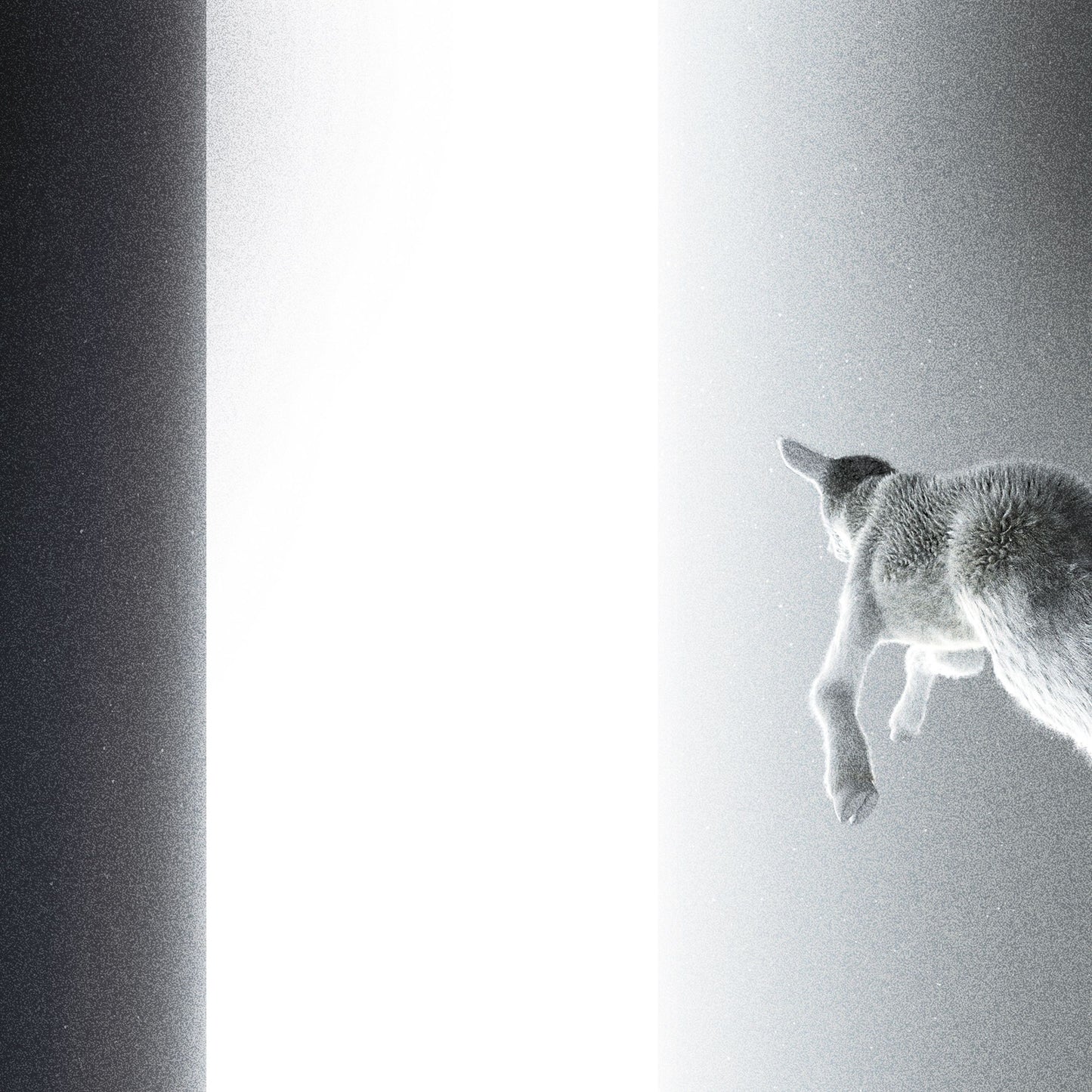 KEEP LOOKING WHERE THE LIGHT COMES FROM