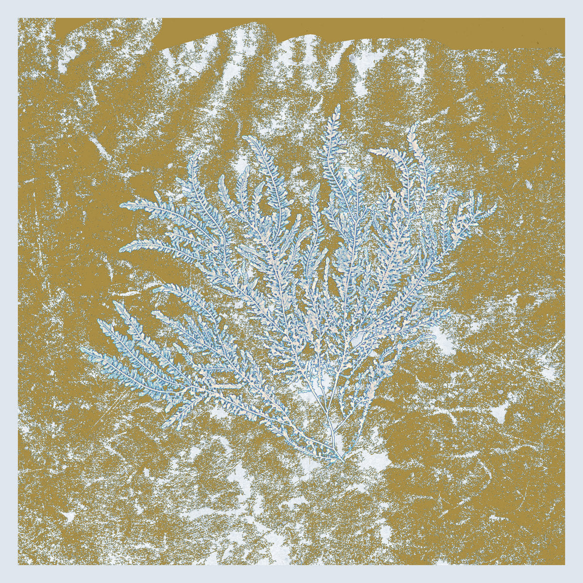 For Those Of You Who Have Never (And Also Those Who Have) (2LP,2025 Repress)