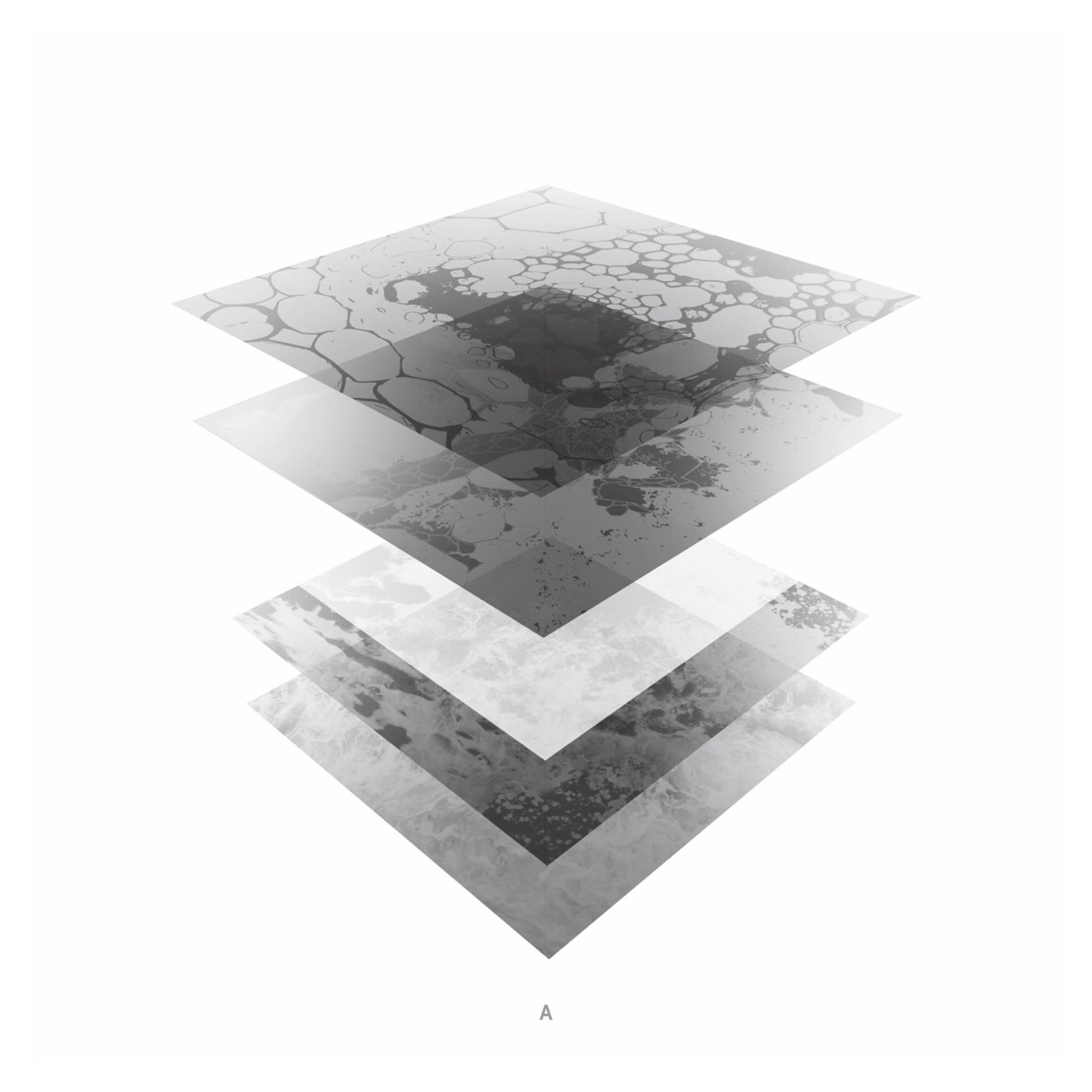 Bleeding Immaculate EP