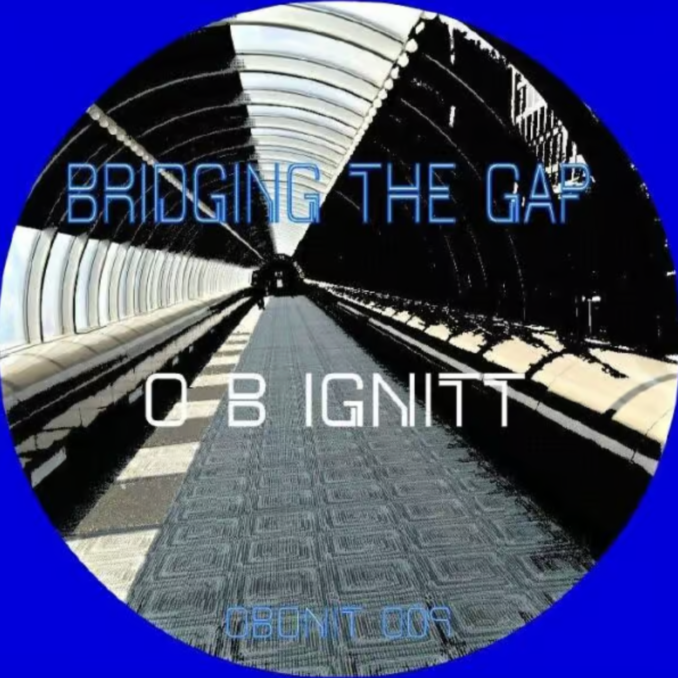 BRIDGING THE GAP