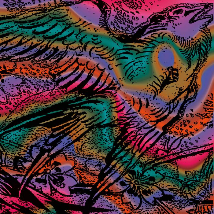 One Swallow Doesn't Make A Summer Part 6