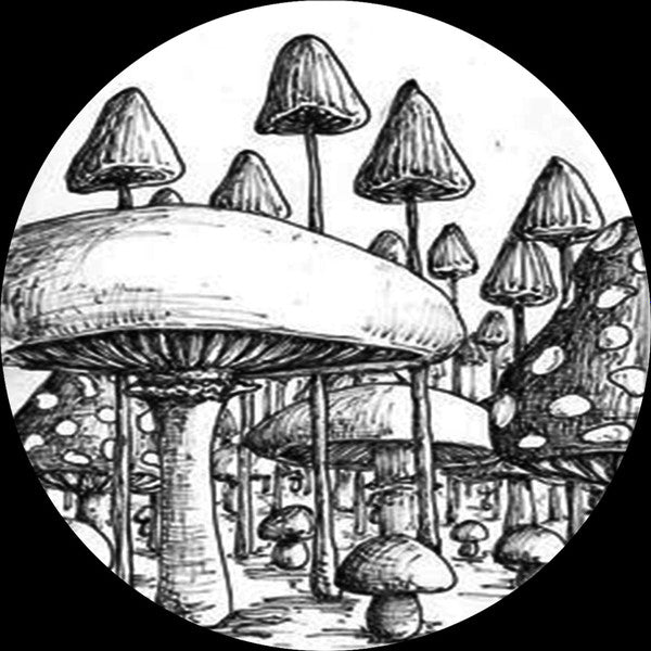 Sound Carrier Records 009