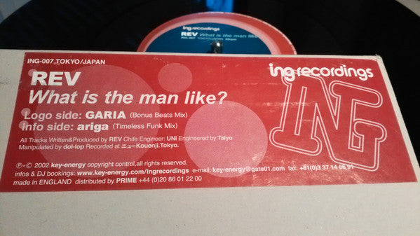 What Is The Man Like?