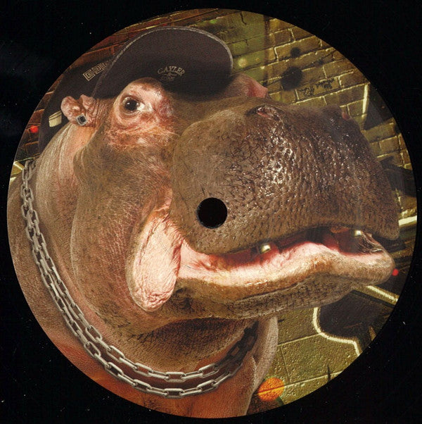 Module EP