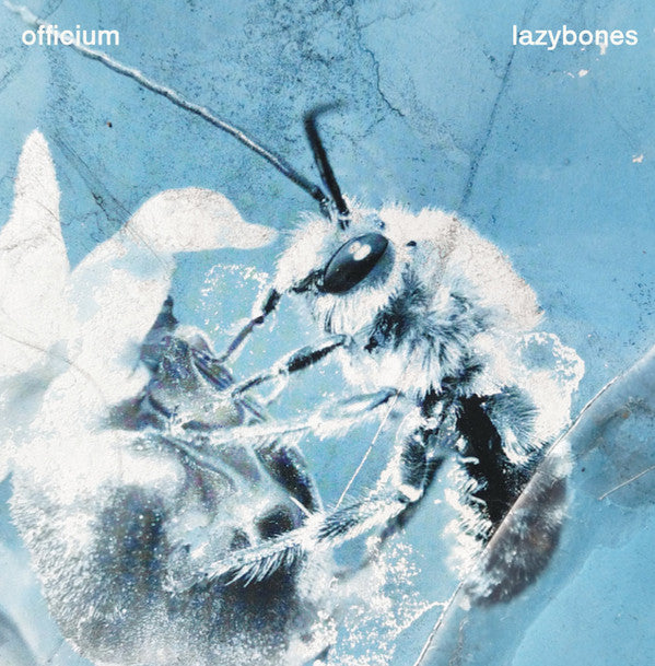 絶品】 ☆ Lazy Bones - Dee / レコード, 12 | luckycharms.app