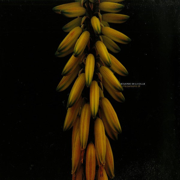 Precursors EP