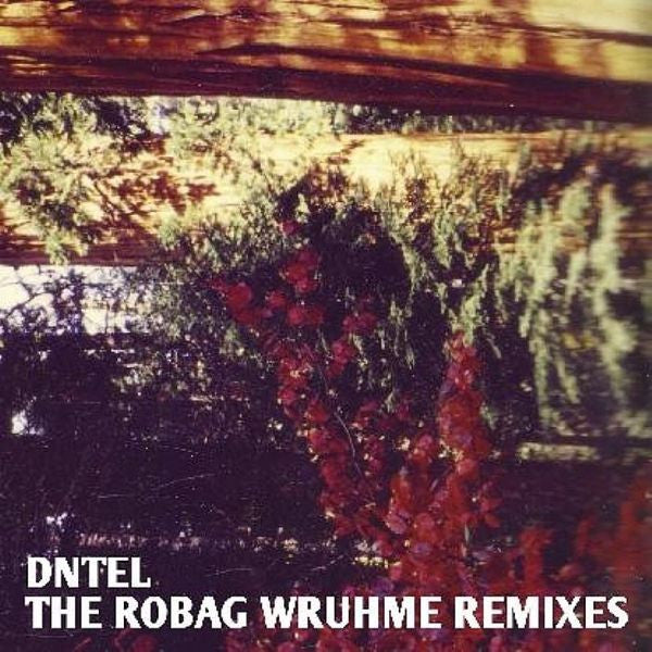 The Robag Wruhme Remixes