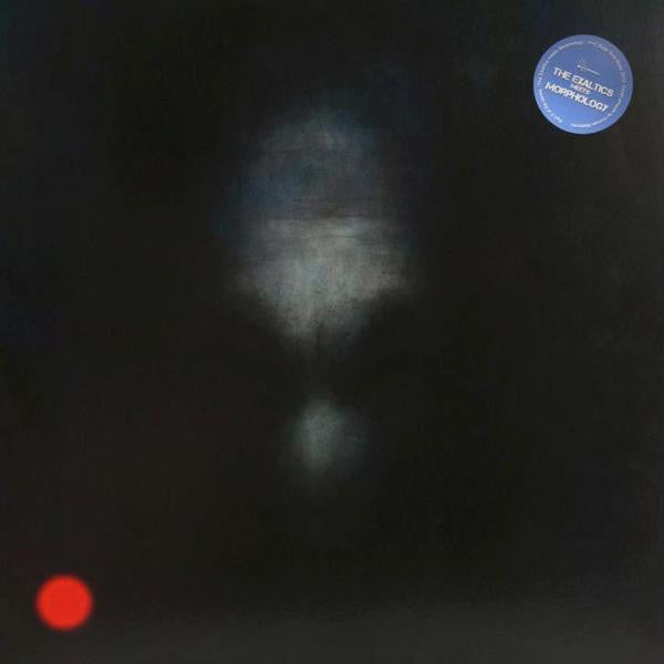 The Exaltics Meets Morphology