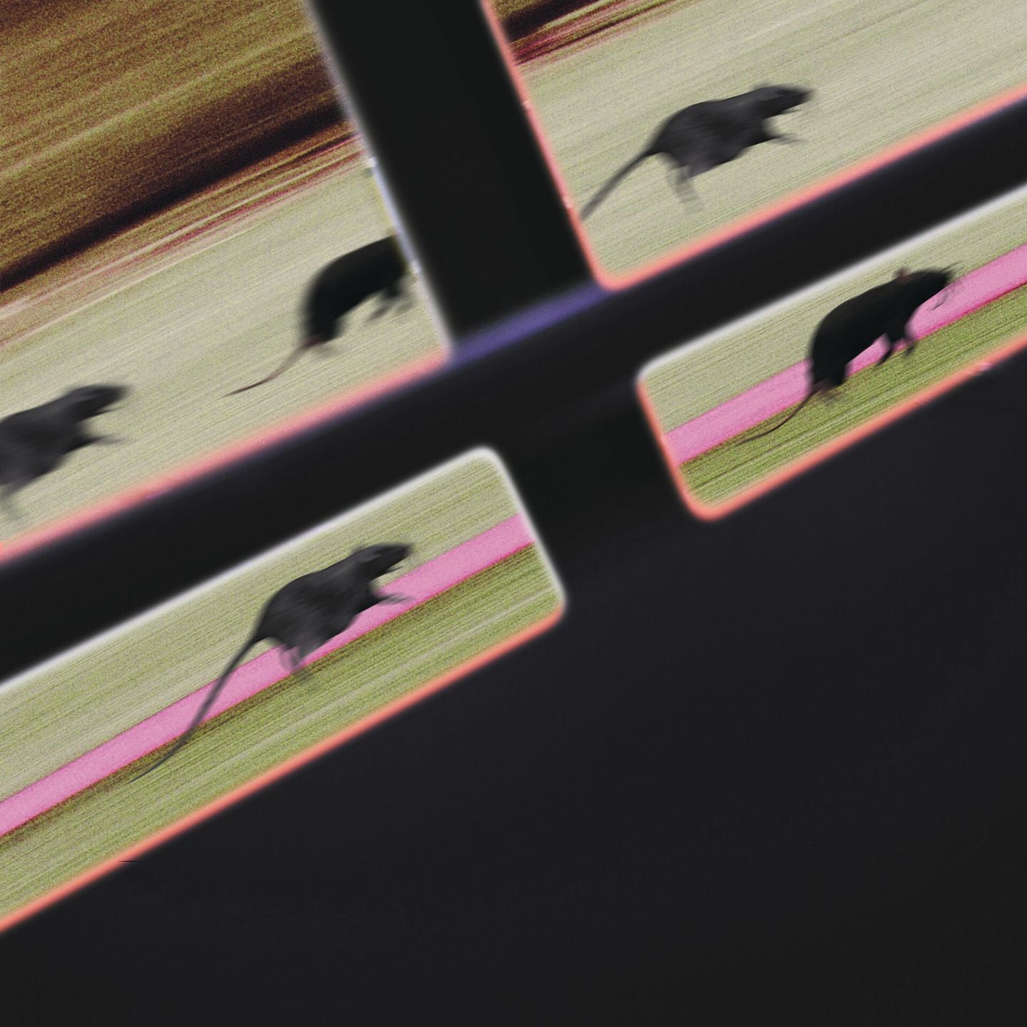 Rat Race – T.E.Q レコードショップ