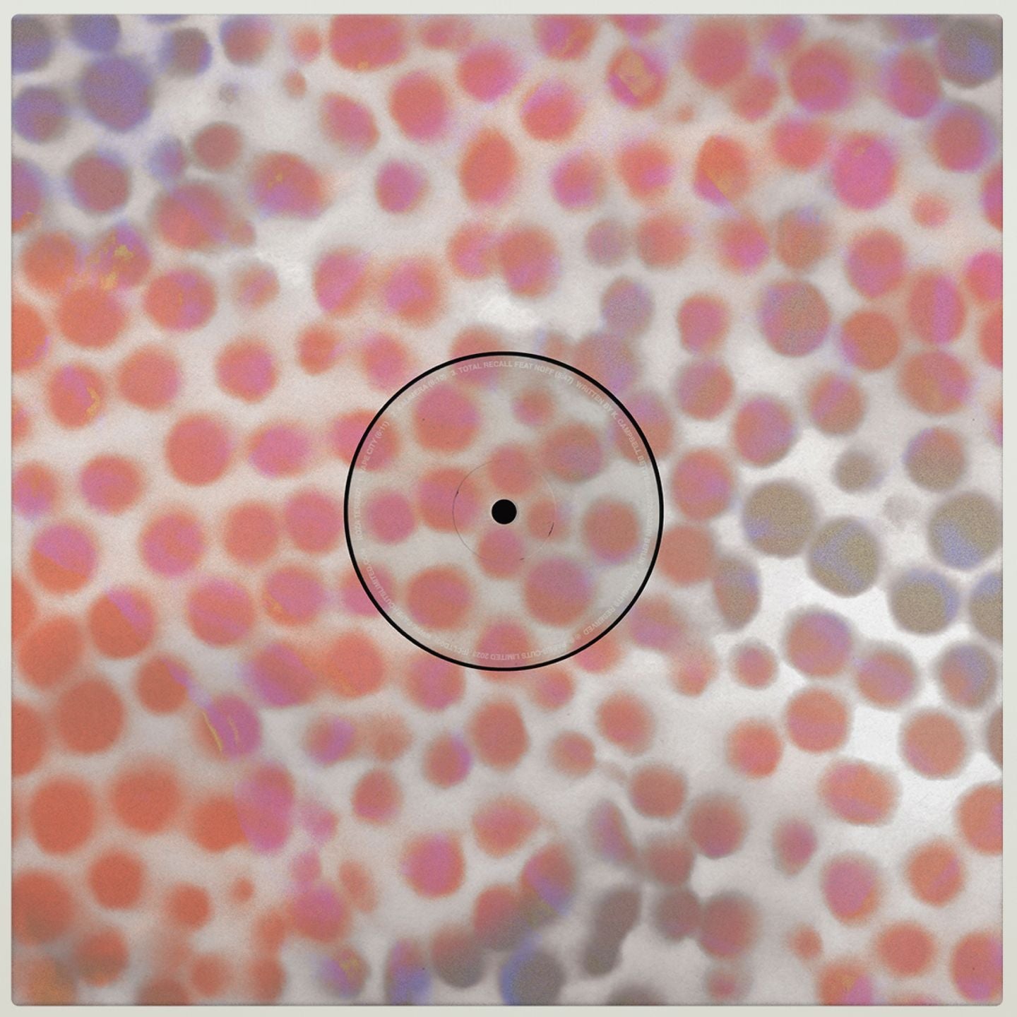 Roza Terenzi & Furious Frank