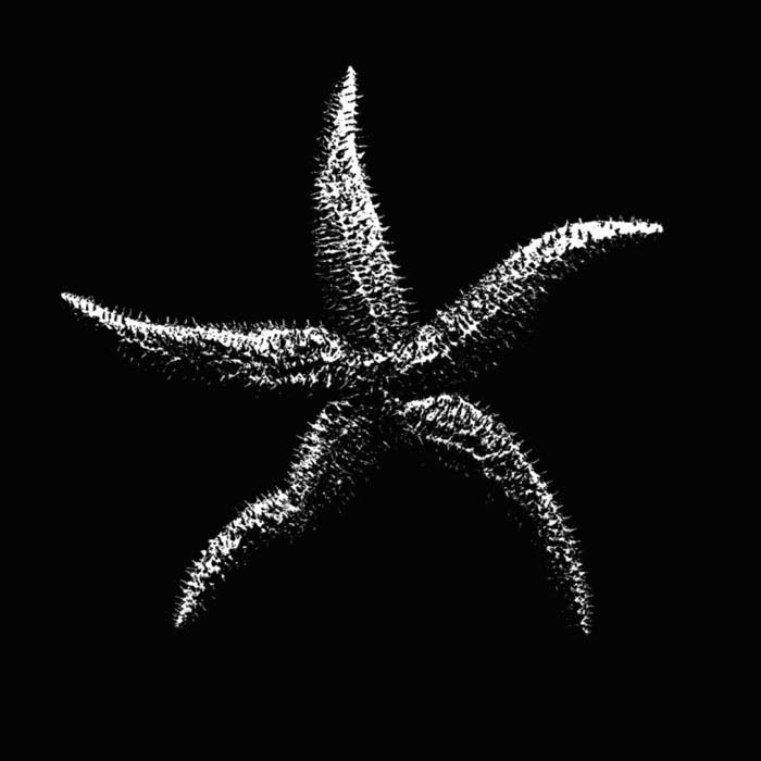 THE MAGIC NUMBERS EP