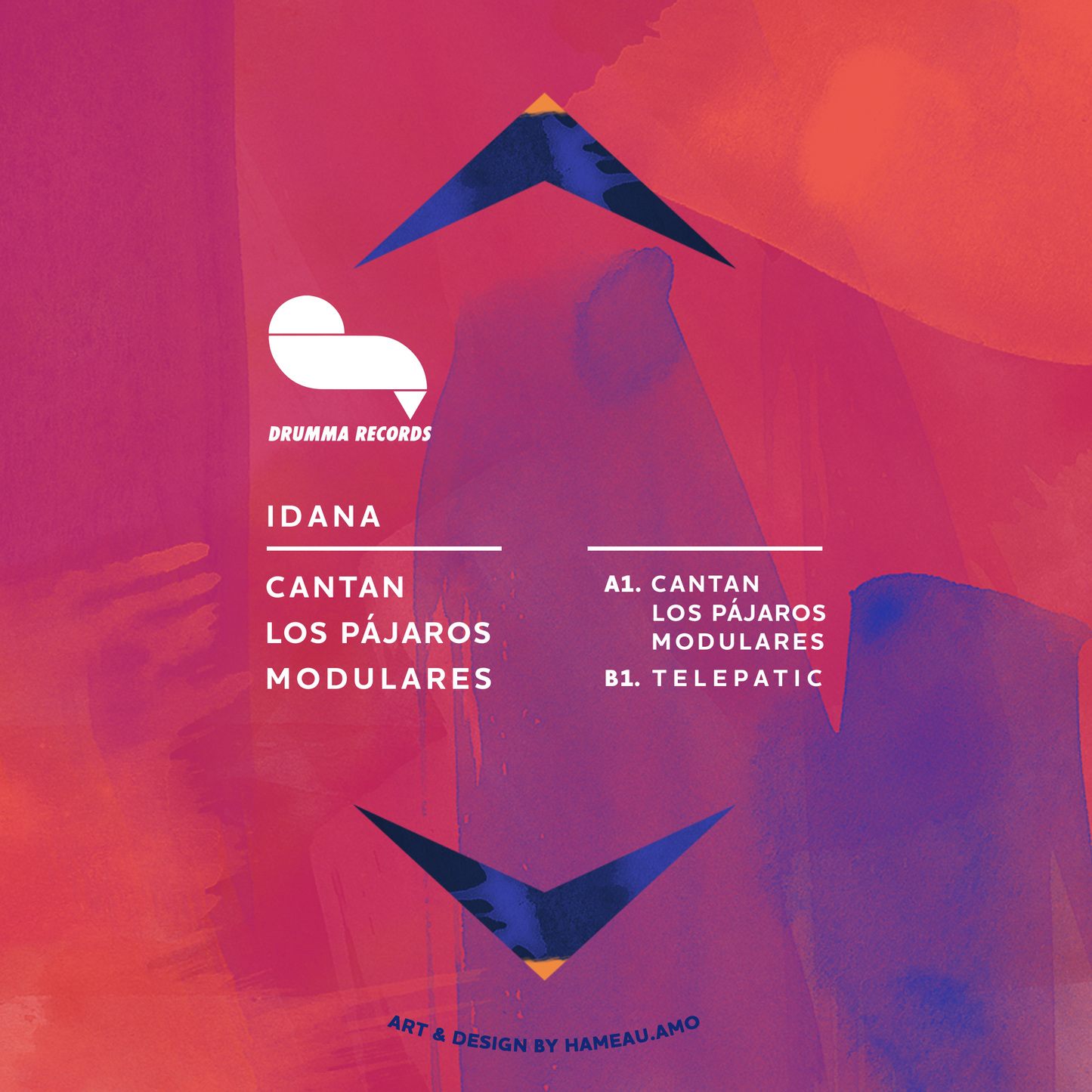 CANTAN LOS PAJAROS MODULARES