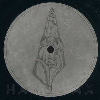 Calyptraphorus Velatus