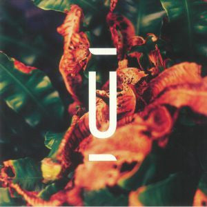 At the Spinning Wheel