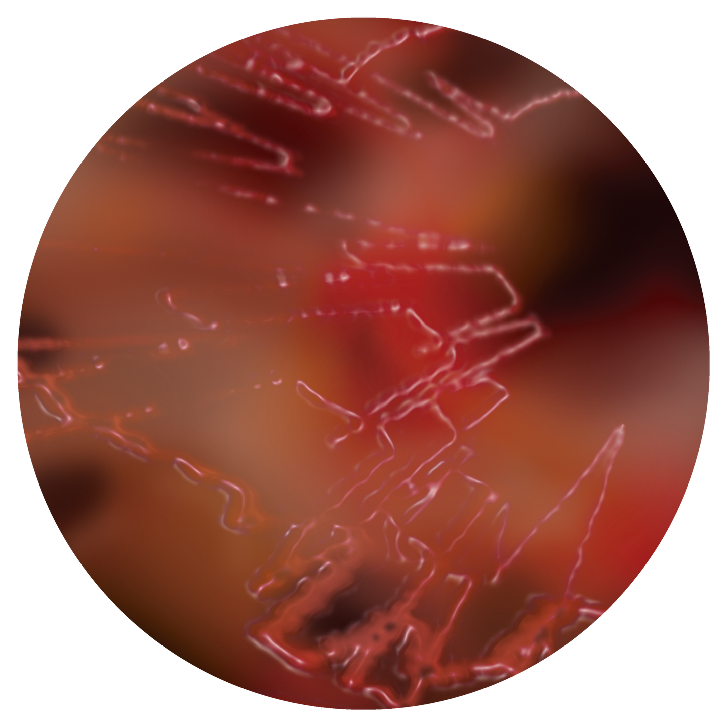 DANGEROUS GOODSPARALLEL MINDS