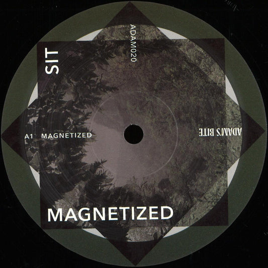 Magnetized