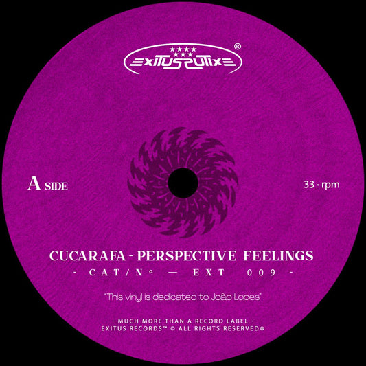 Perspective Feelings EP
