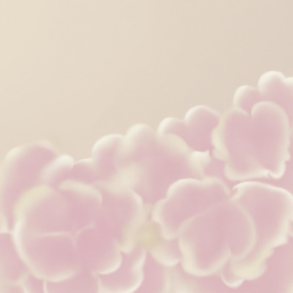 HOUSE – T.E.Q レコードショップ