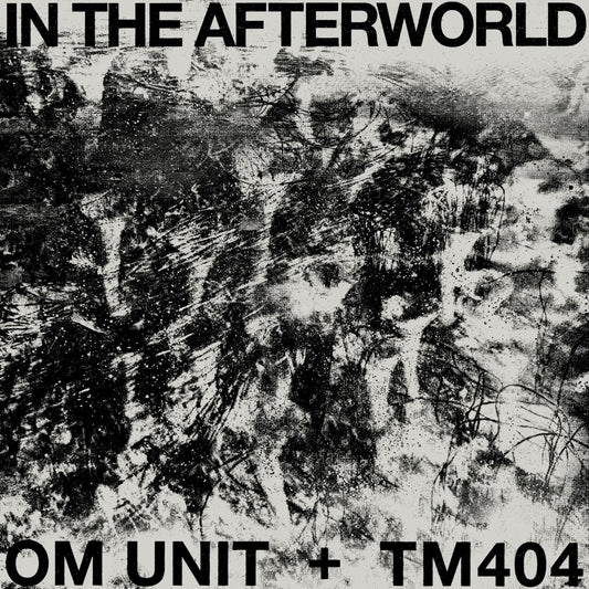 In The Afterworld (2023 repress)