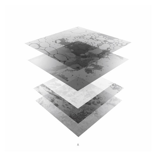 Bleeding Immaculate EP