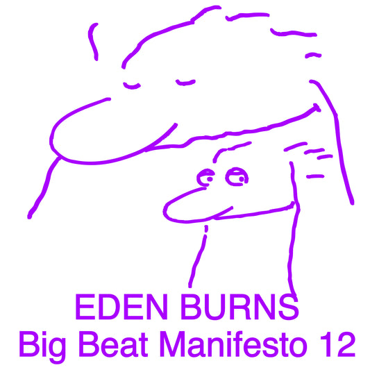 Big Beat Manifesto Vol. XII