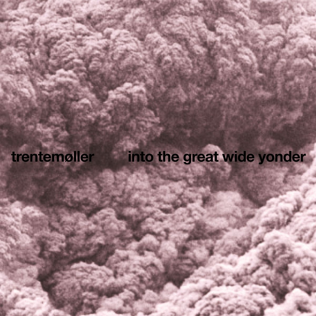 into the great wide yonder (2026 repress)