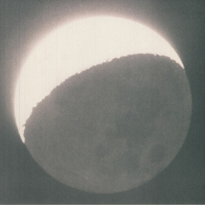 MOON IN EARTHLIGHT