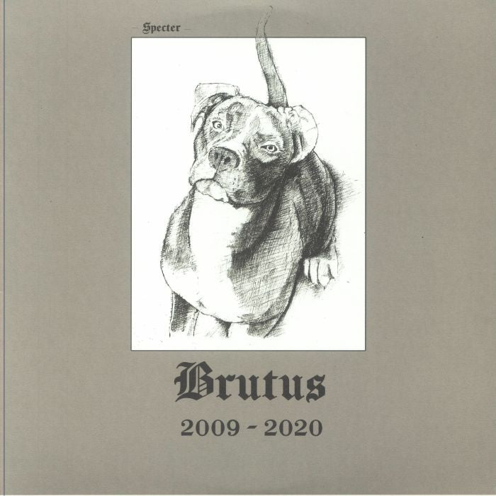 Brutus