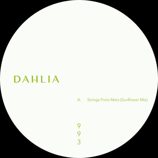 DAHLIA 993