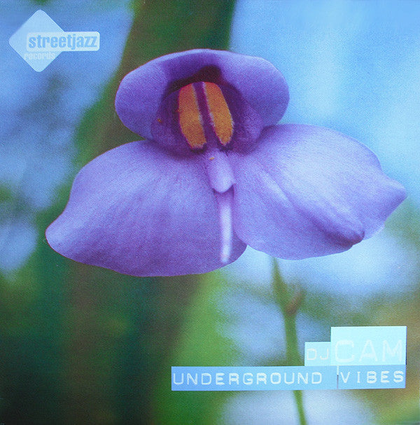 Underground Vibes