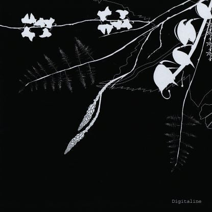 Rubicube / Belladone