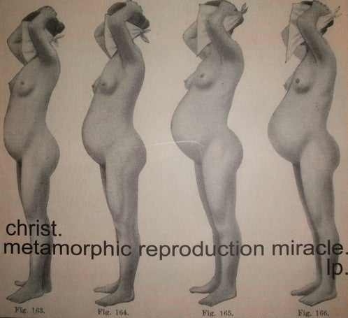 Metamorphic Reproduction Miracle