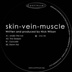 Skin-Vein-Muscle