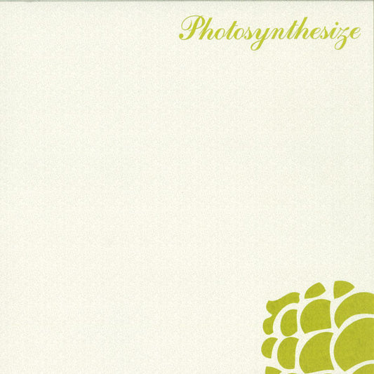 Photosynthesize