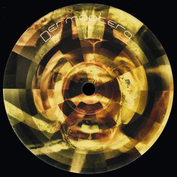 Dermaptera 4