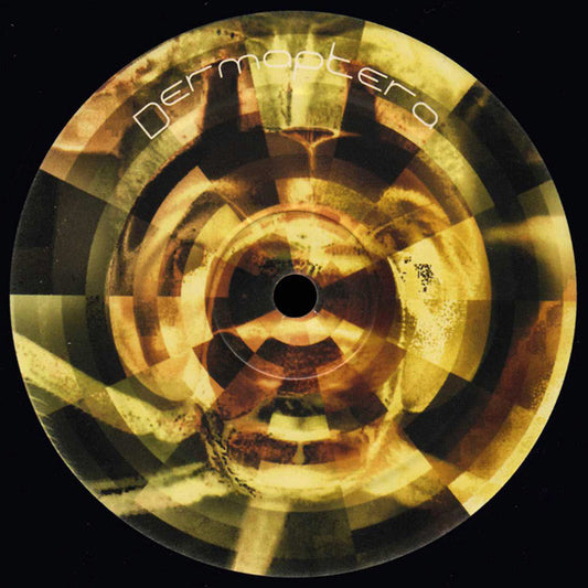 Dermaptera 4