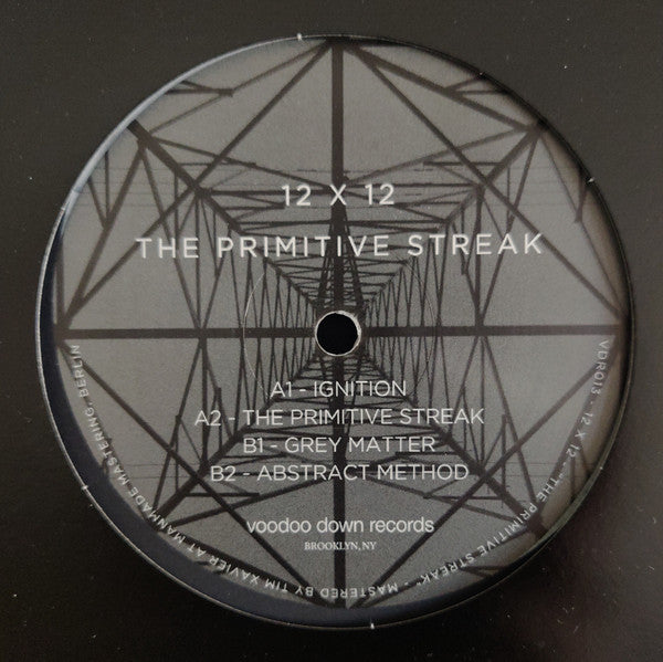 The Primitive Streak