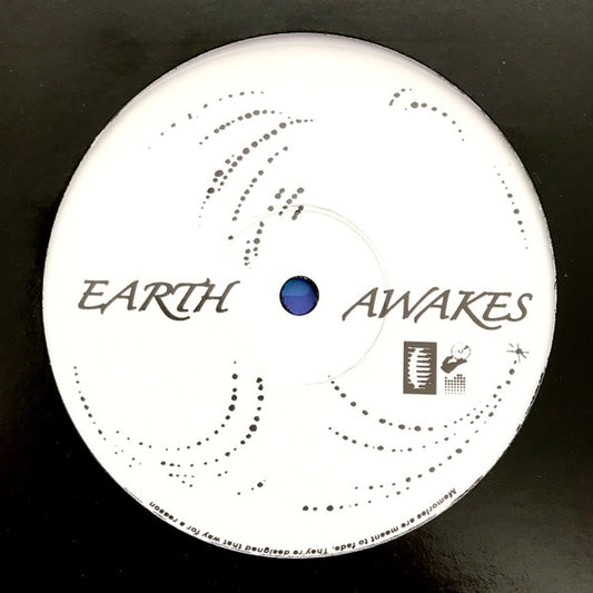 Earth Awakes / Net Of Being