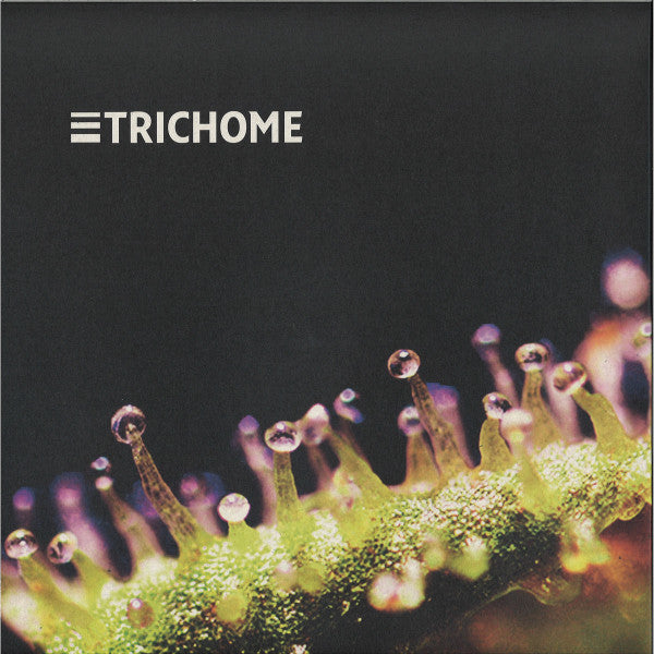 Voltage controlled Dreams EP