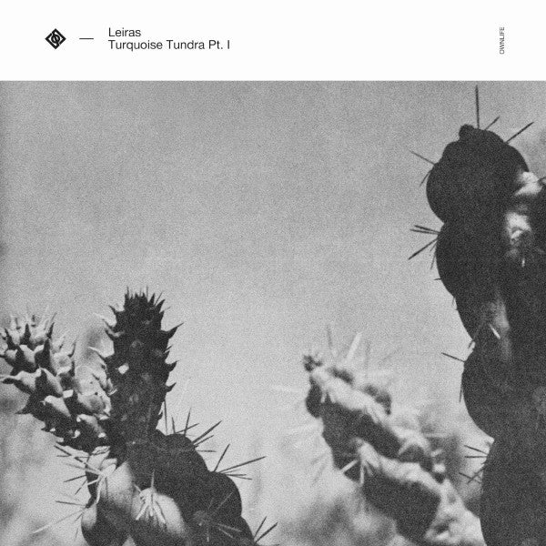 Turquoise Tundra Pt.I