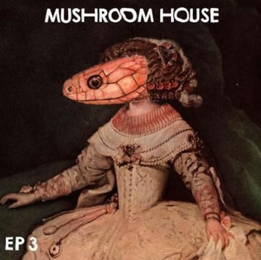 Mushroom House EP 3