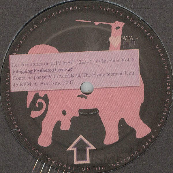 Les Aventures De Pépé Bradock / Pistes Insolites Vol. 2 : Intriguing Feathered Creature