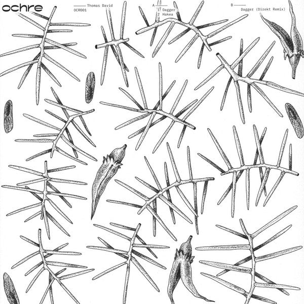 Dagger / Hakea