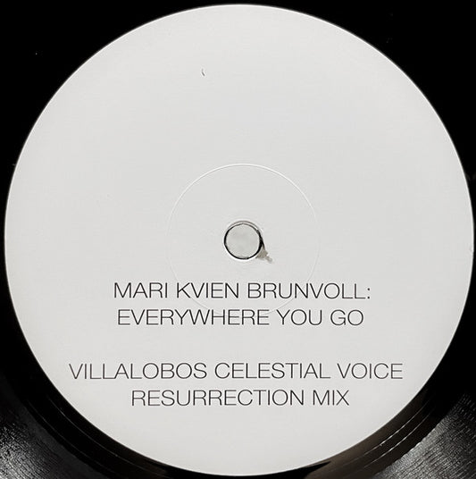 Everywhere You Go (Villalobos Mixes)