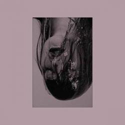 For The Right Hemisphere Brain Damage