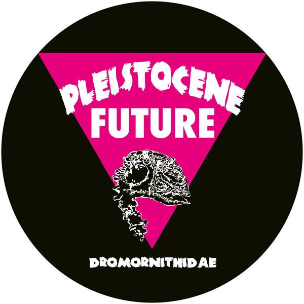 PLEISTOCENE FUTURE 4